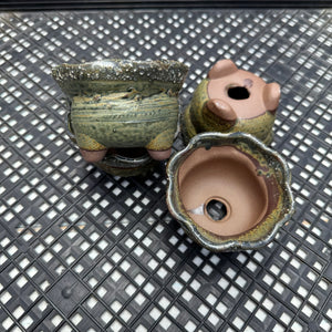 Ceramic succulent pot