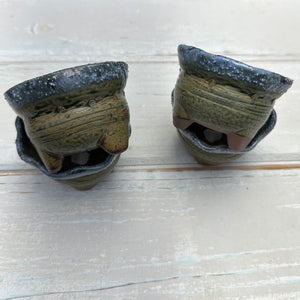 Ceramic succulent pot